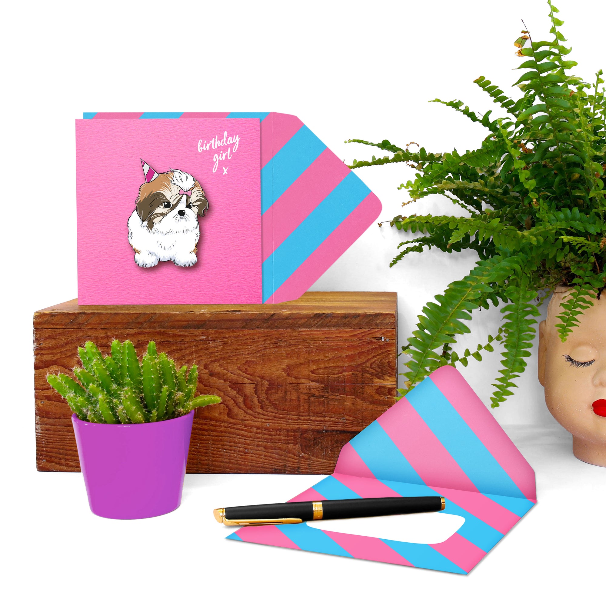 Birthday Girl, Shitzu