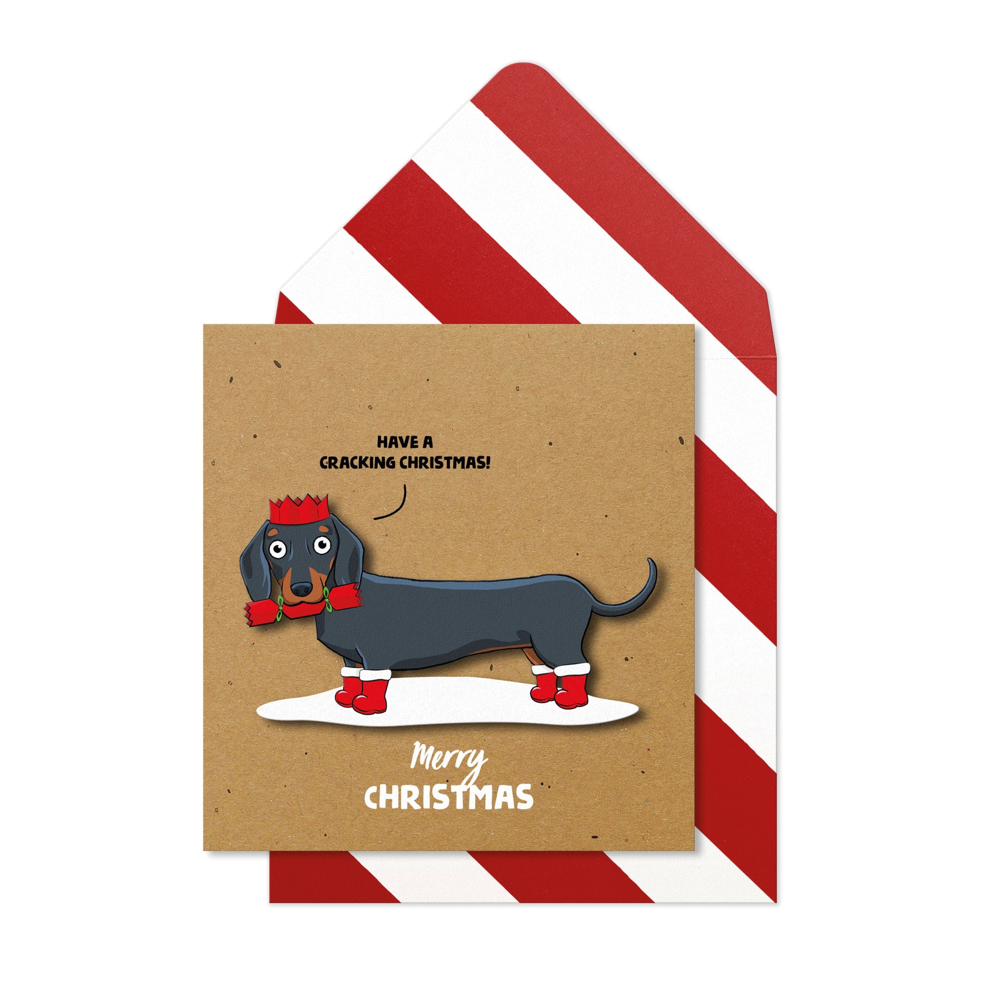 Cracking Christmas Dachshund