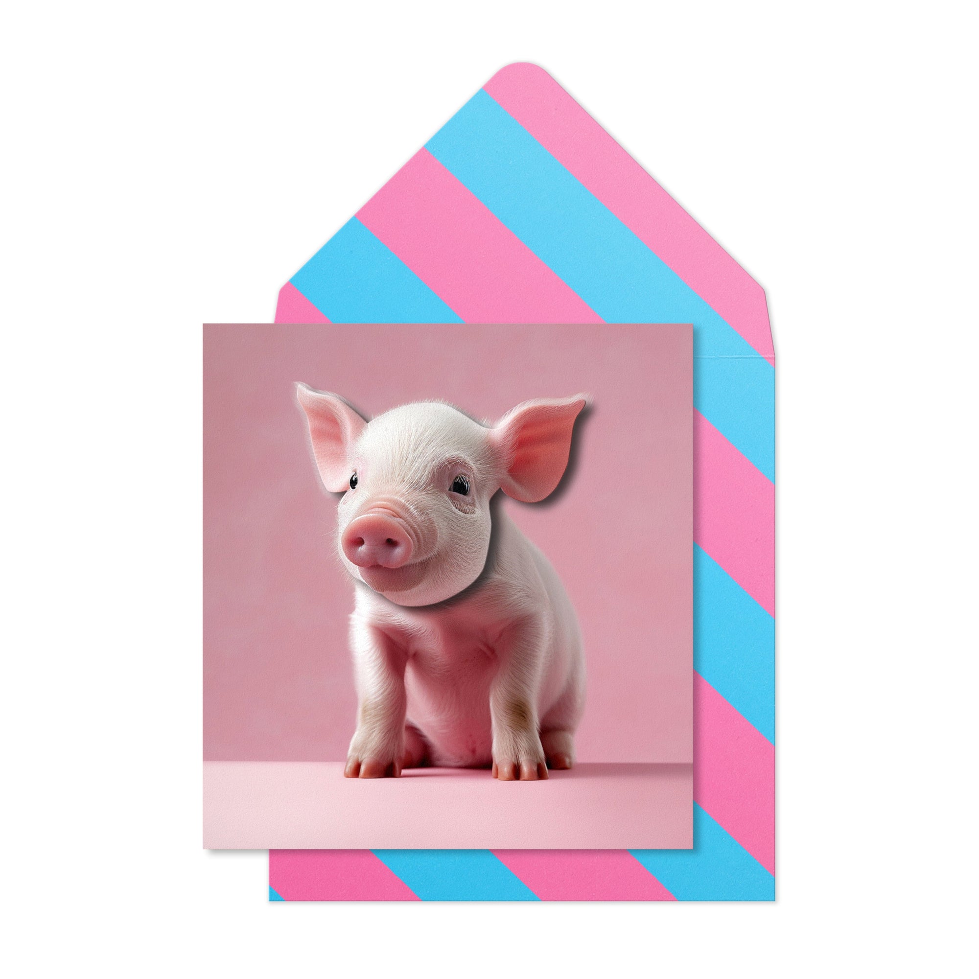 Mini Piglet