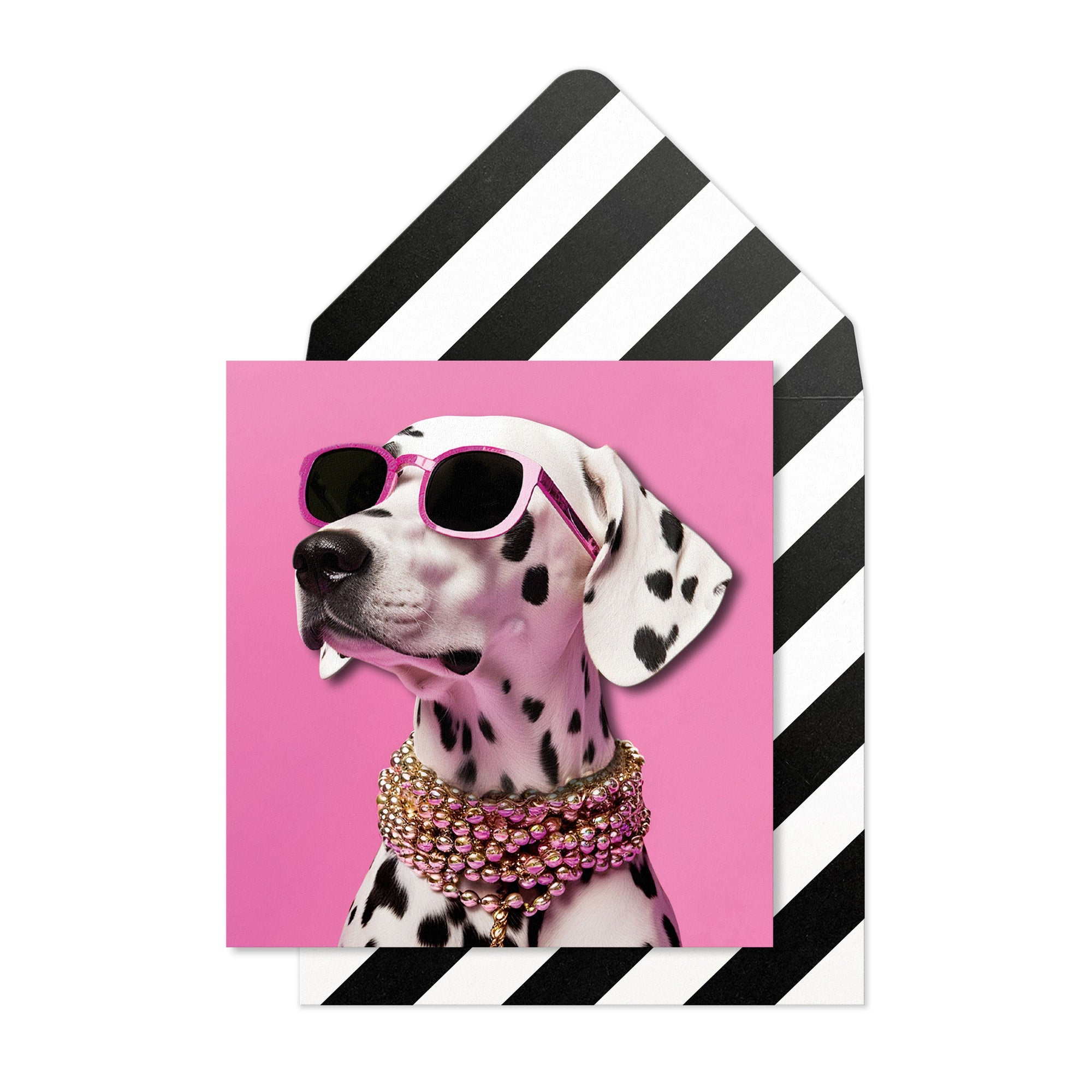 Stylish Dalmatian