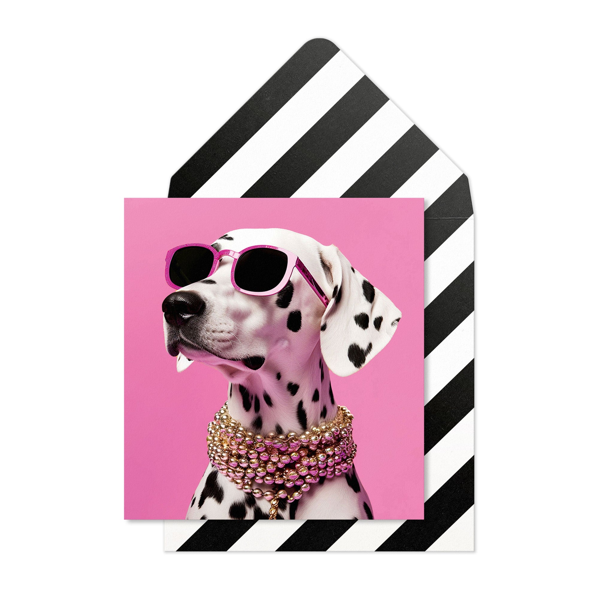 Stylish Dalmatian