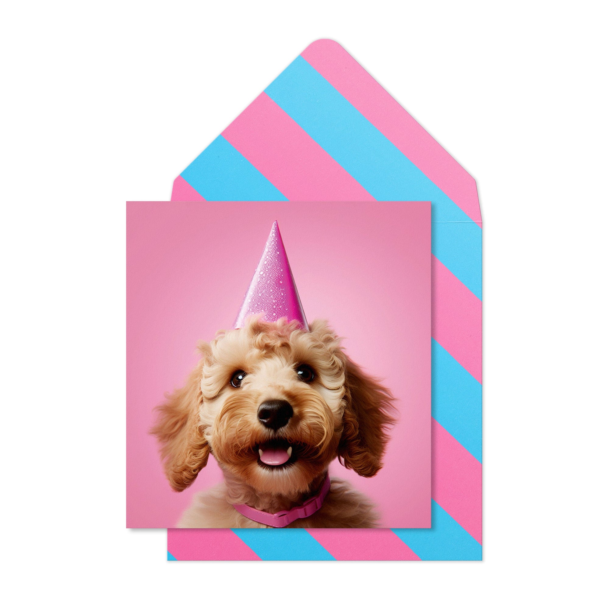 Birthday Cockapoo