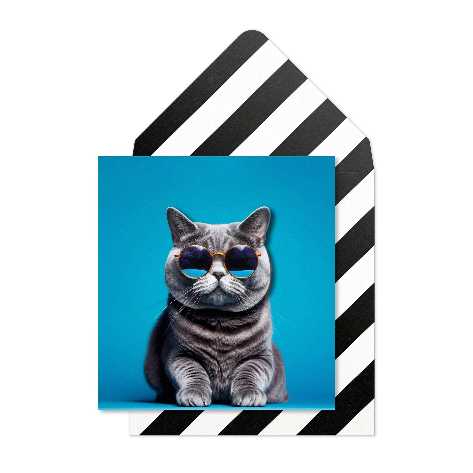 British Short Hair Cat