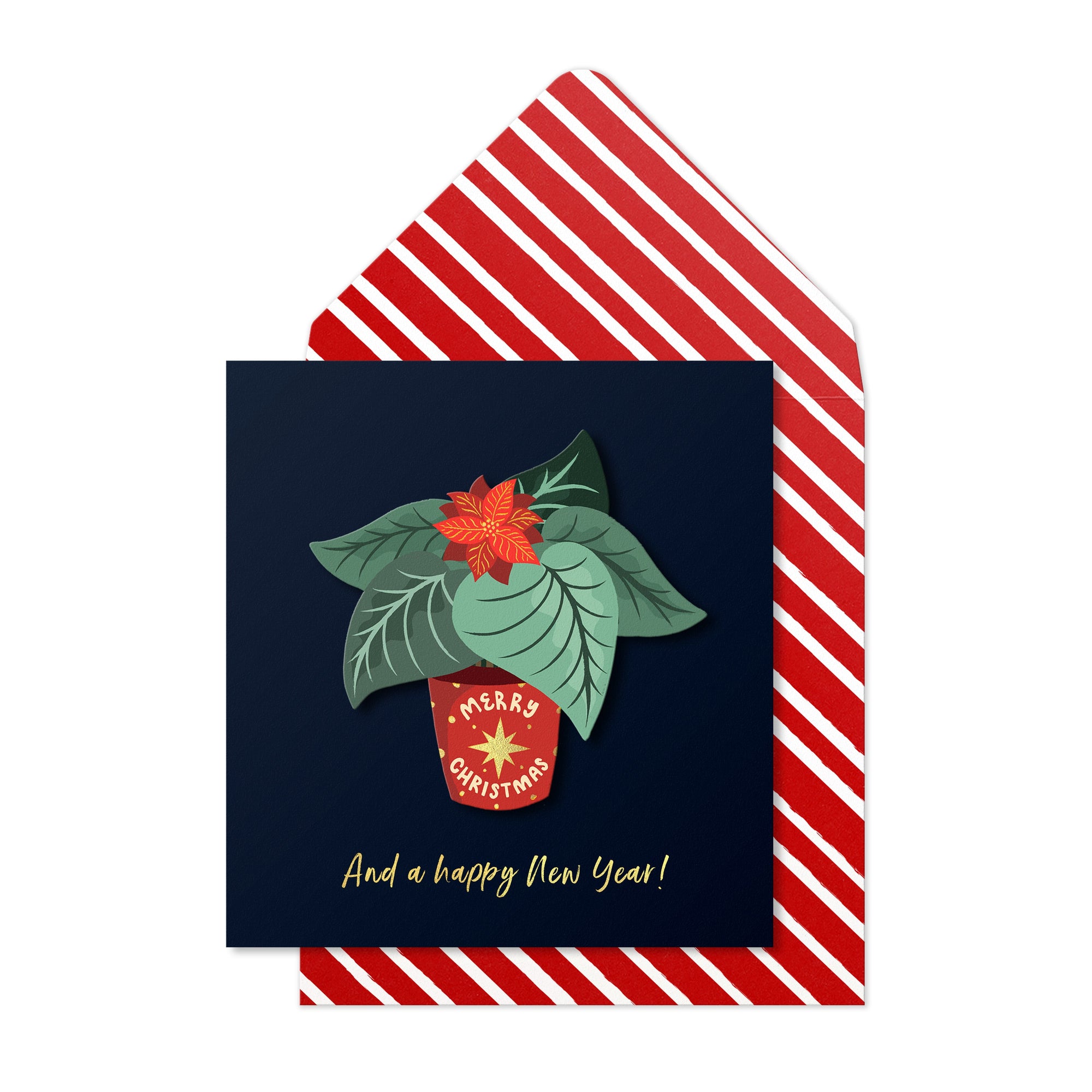 Merry Christmas, Plant Pot