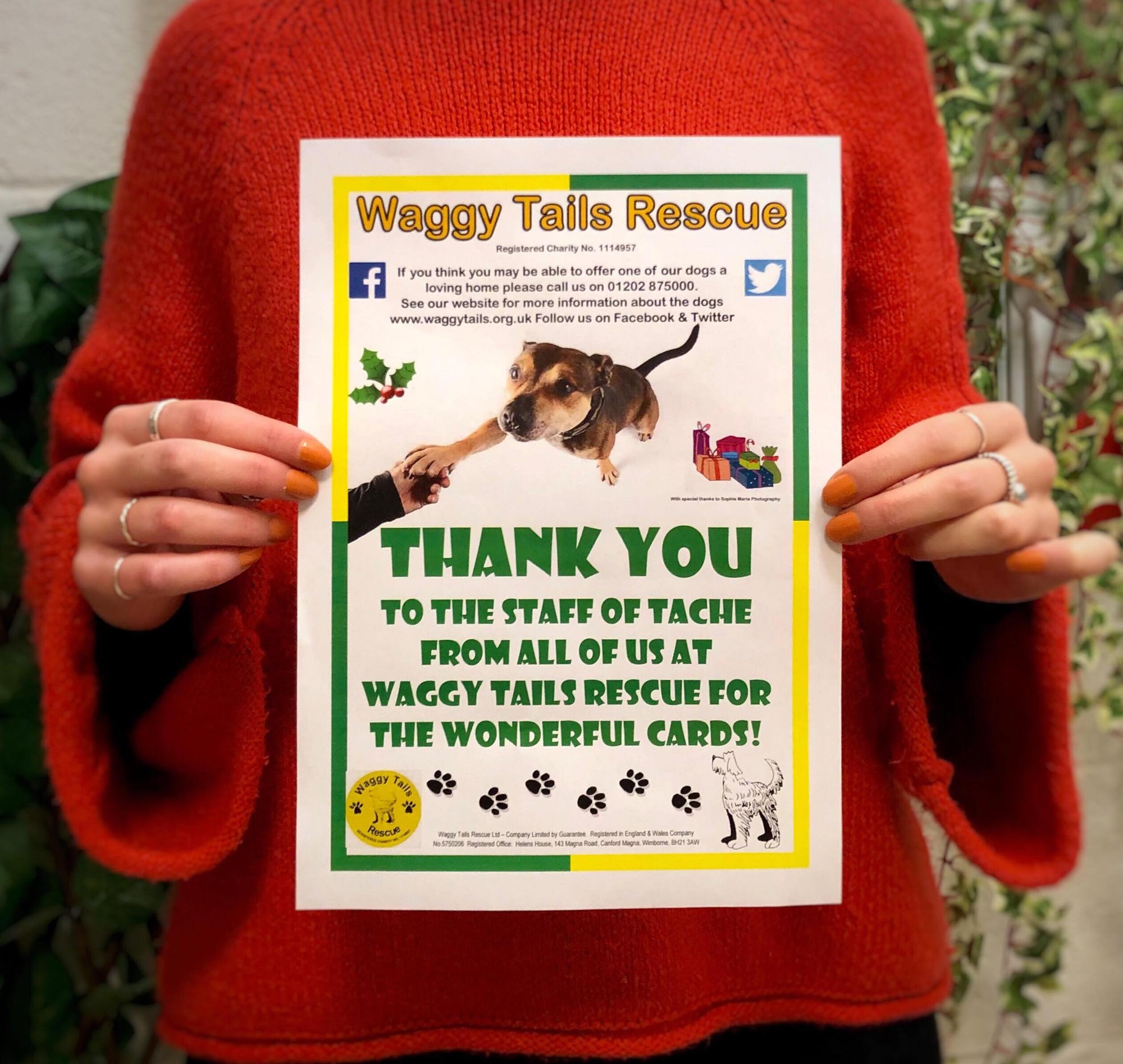 Tache Visit Gets Tails Wagging At Waggy Tails!