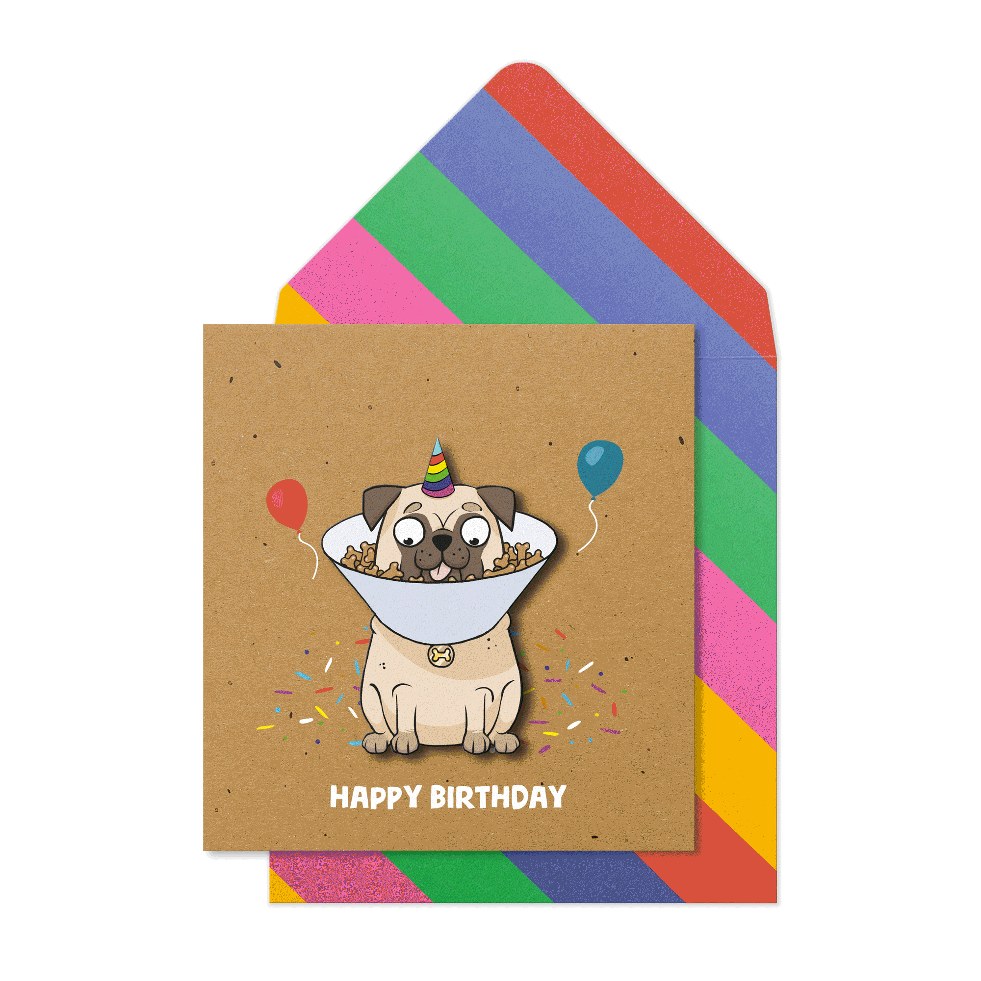 Cats & Dogs - Bundle of 5