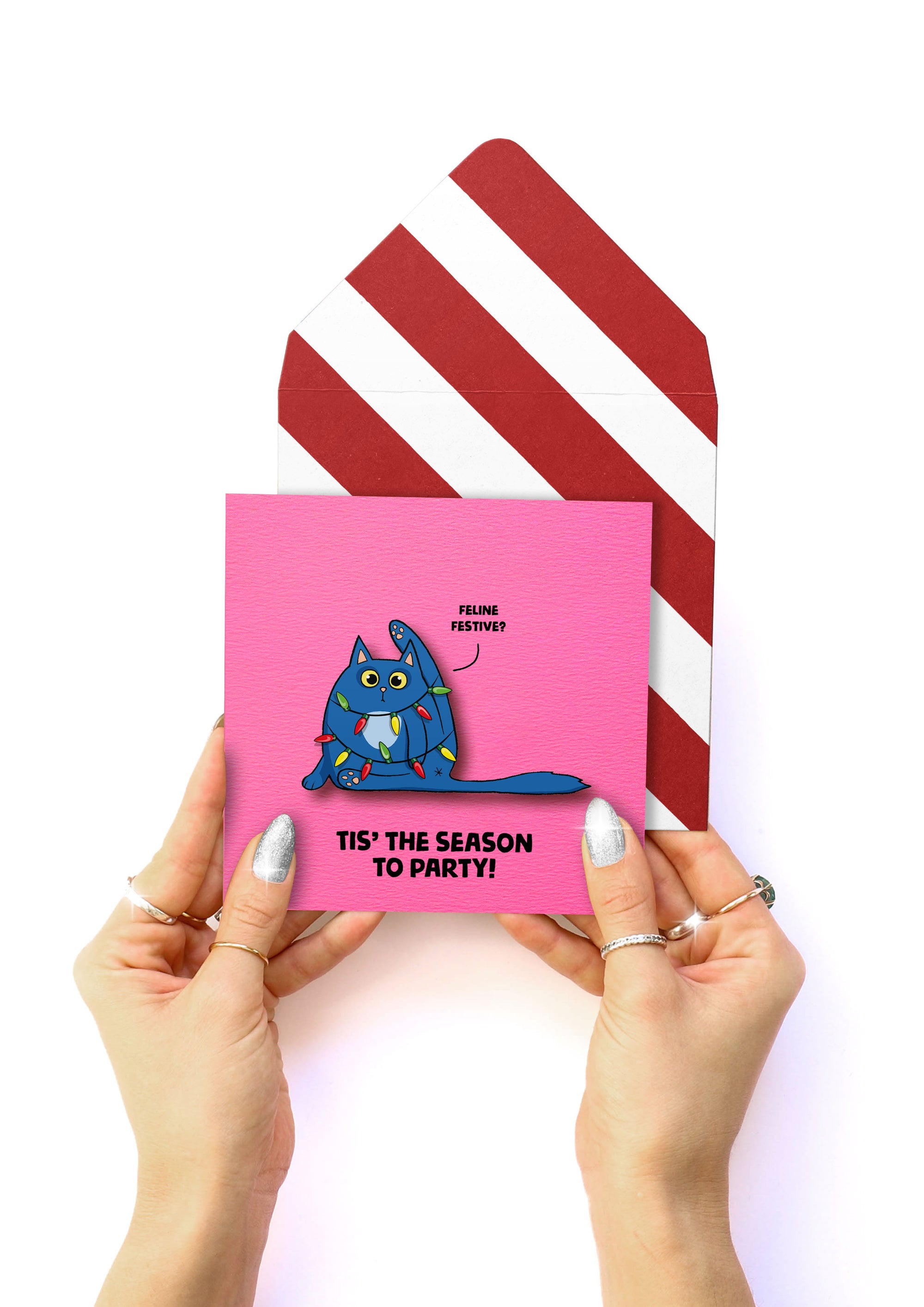 Christmas Lights Blue Cat