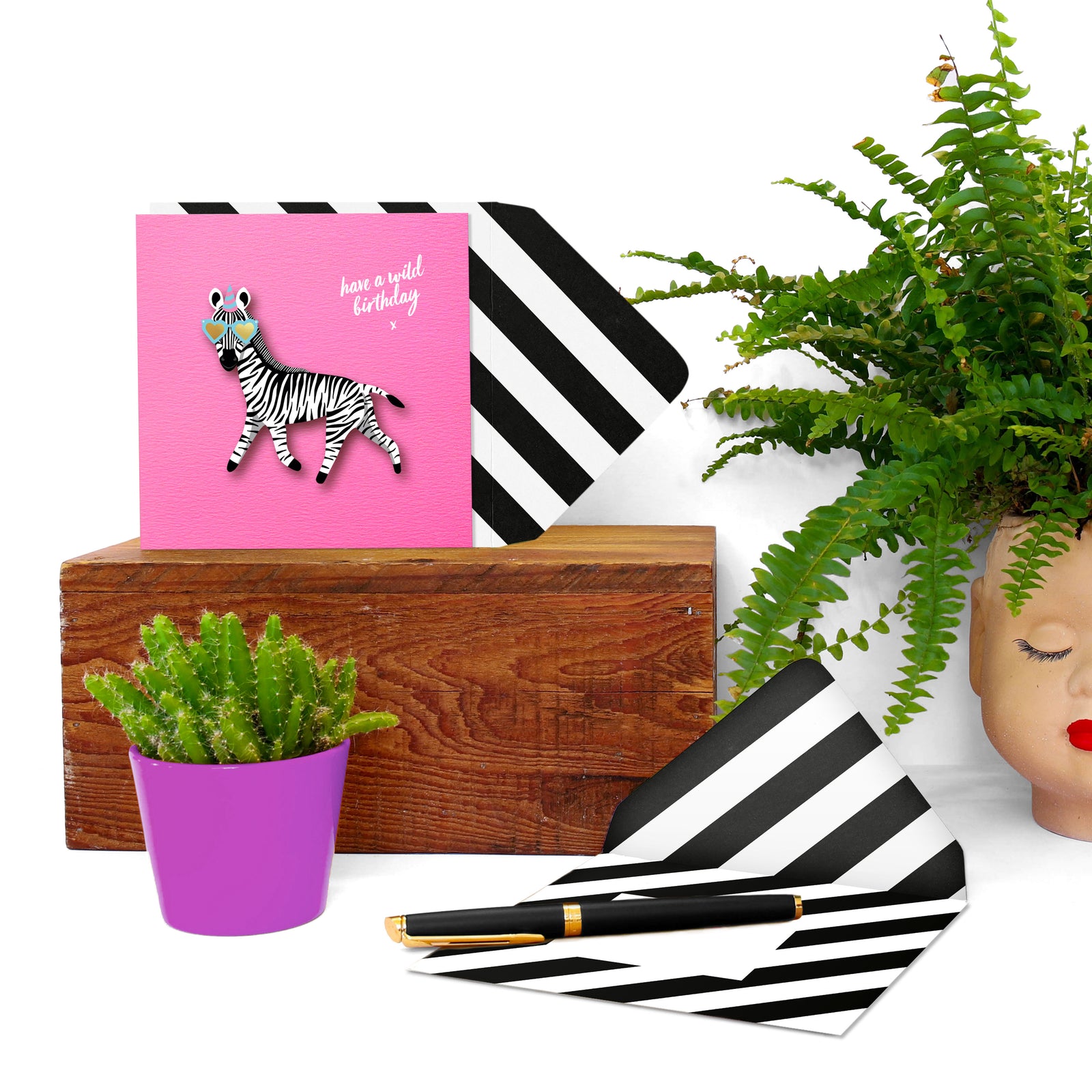 Birthday Zebra