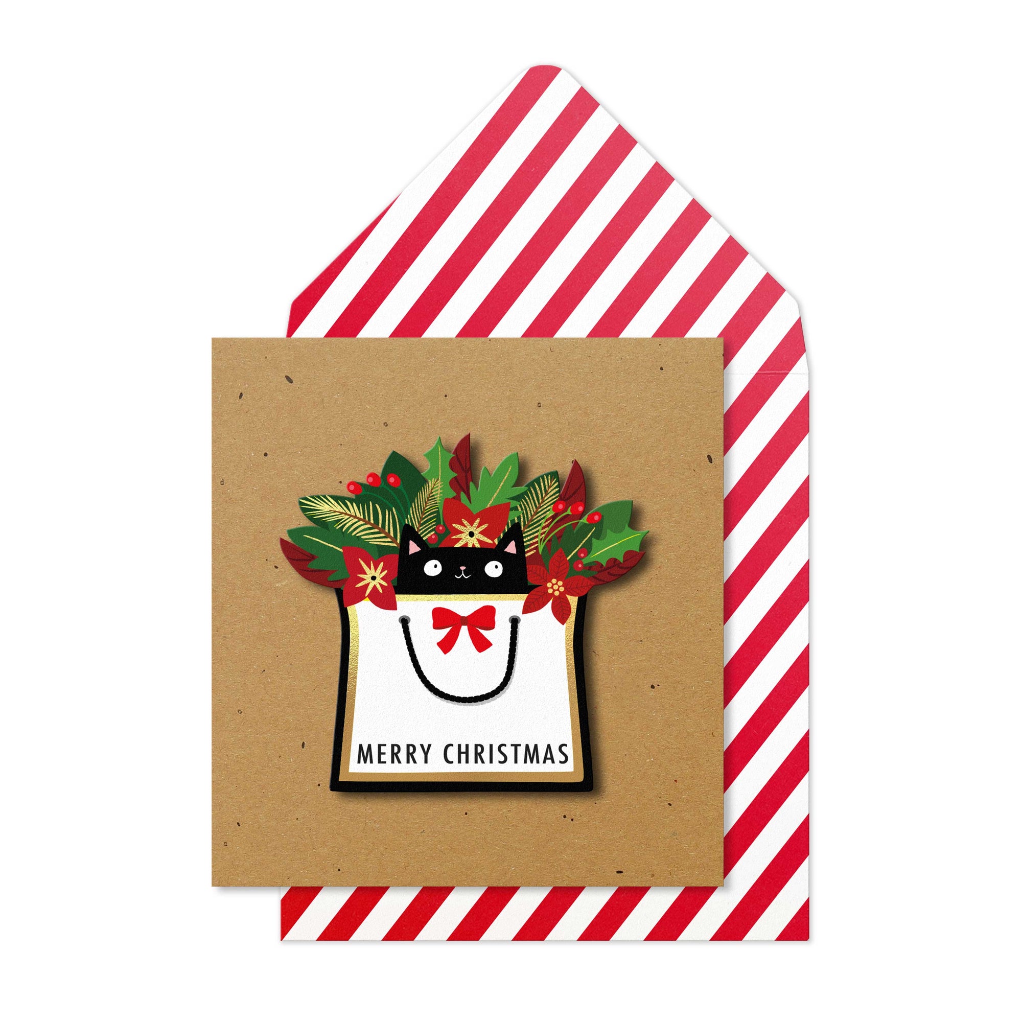Merry Christmas Cat in Bag Handmade Greeting Card