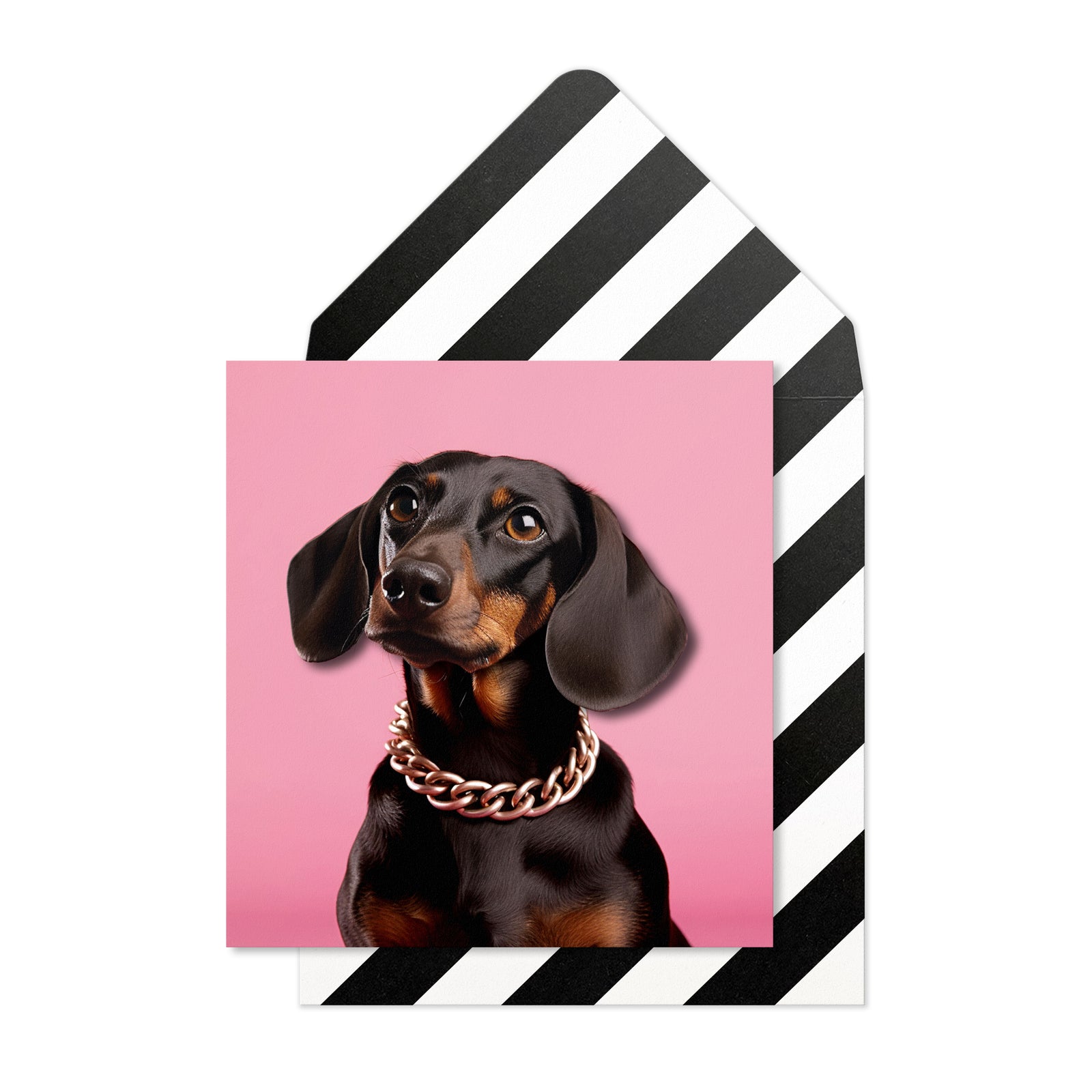 Pawtraits - Bundle of 5 Handmade Greeting Cards