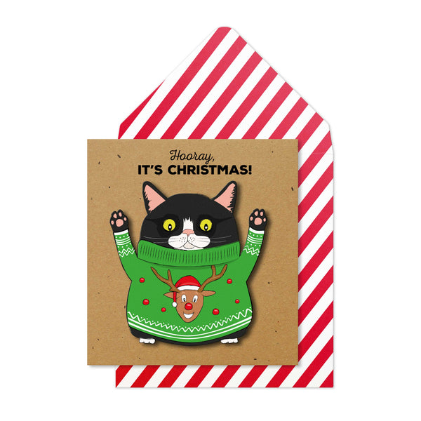 Cat in Jumper