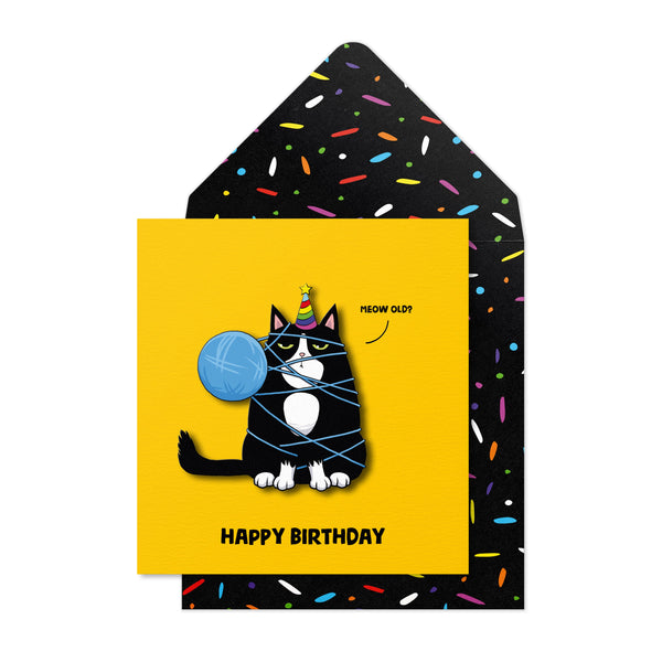 Happy Birthday, Meow Old? | Handmade Greeting Card