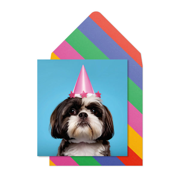 Birthday Shih Tzu | Handmade Greeting Card