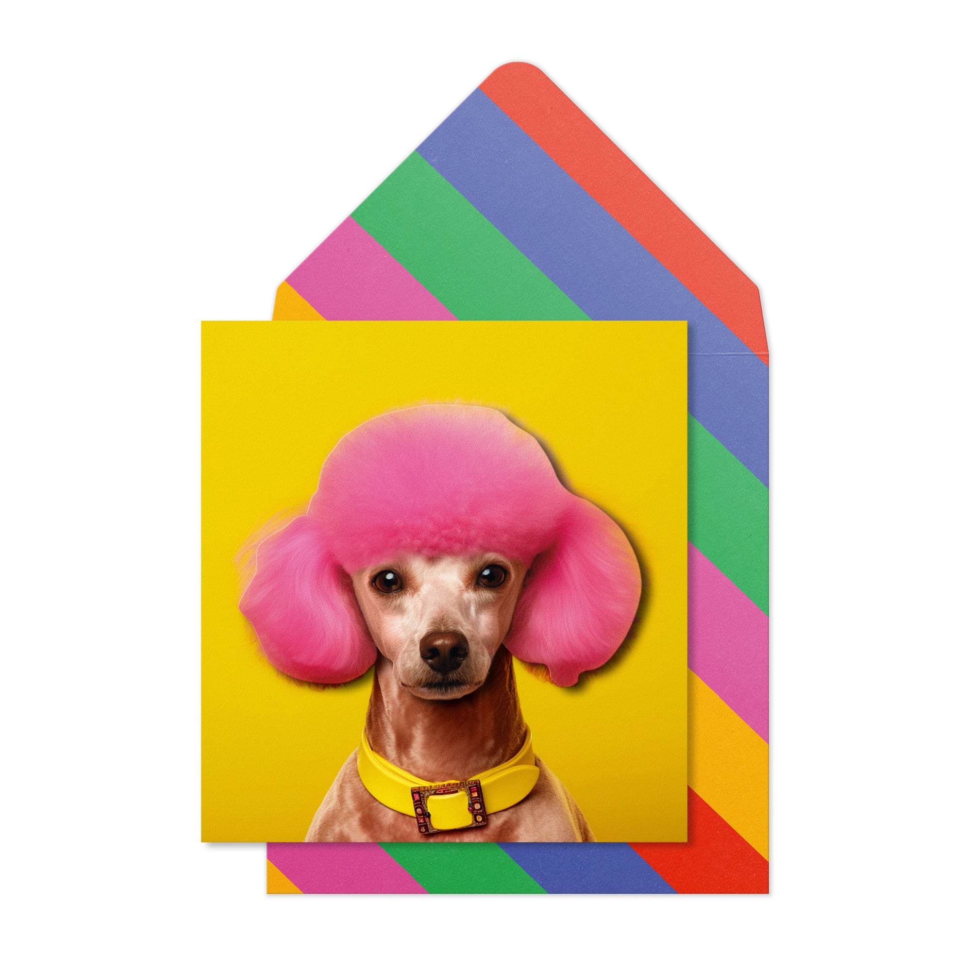 Pink Hair Poodle