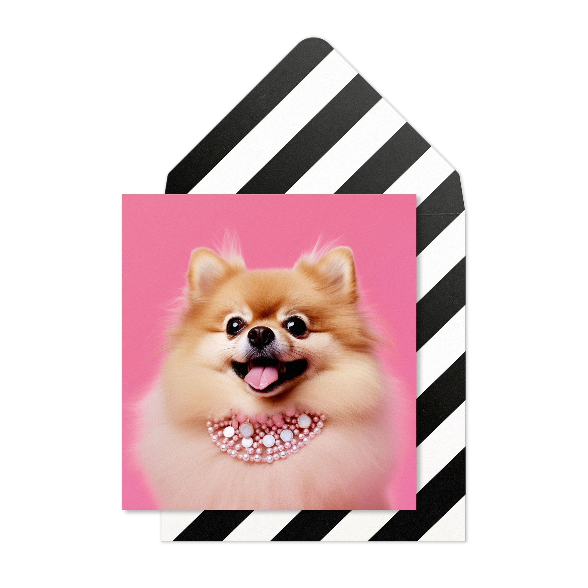 Fancy Pomeranian