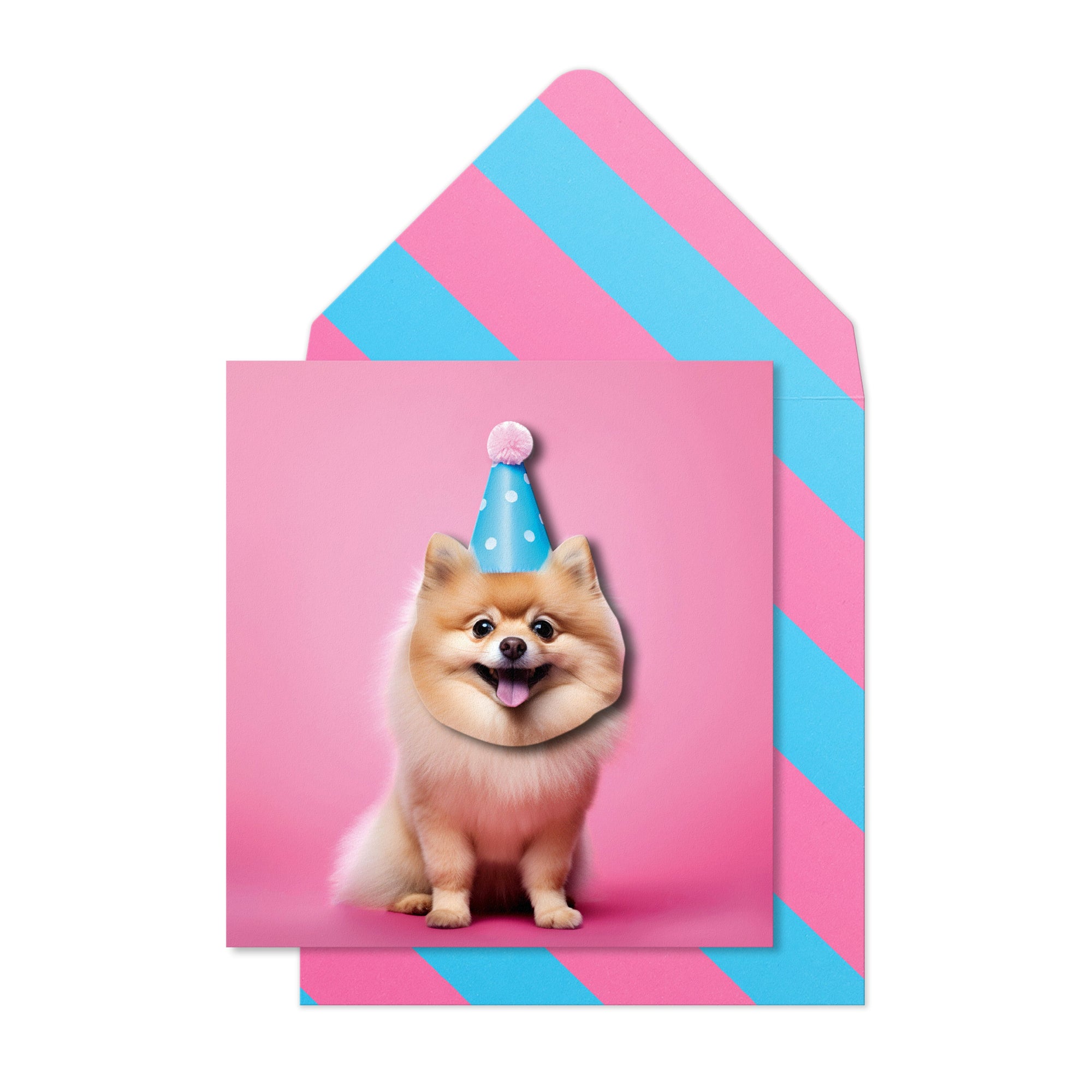 Birthday Pomeranian