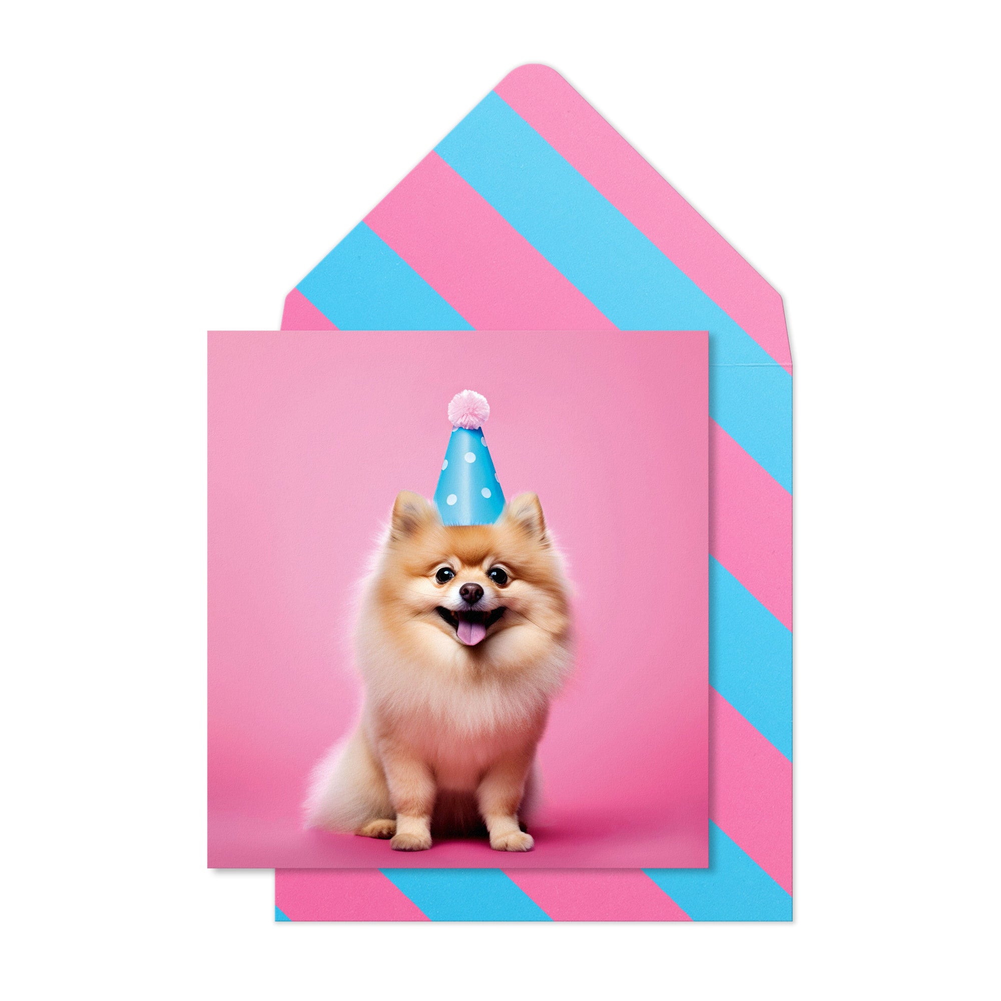 Birthday Pomeranian