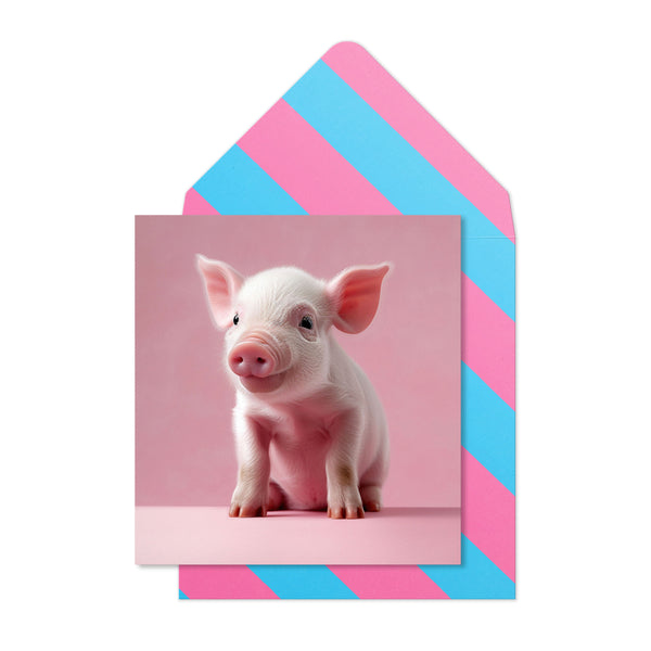 Mini Piglet