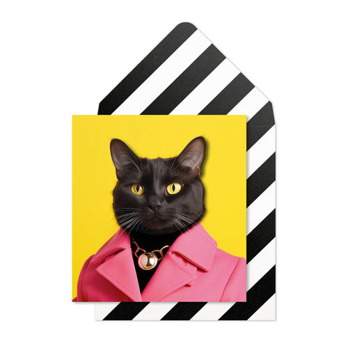 Sassy Black Cat