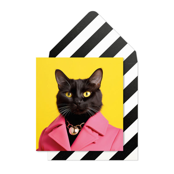 Sassy Black Cat