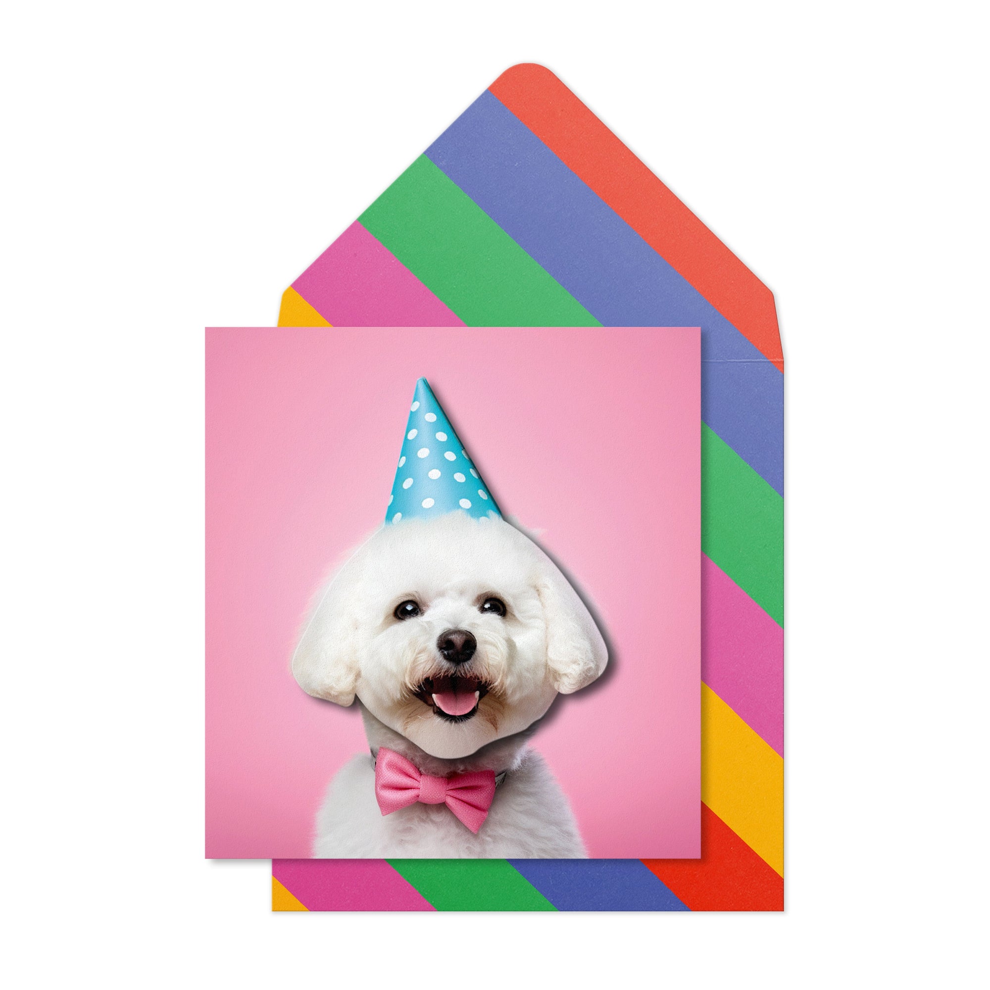 Birthday Bichon Frise