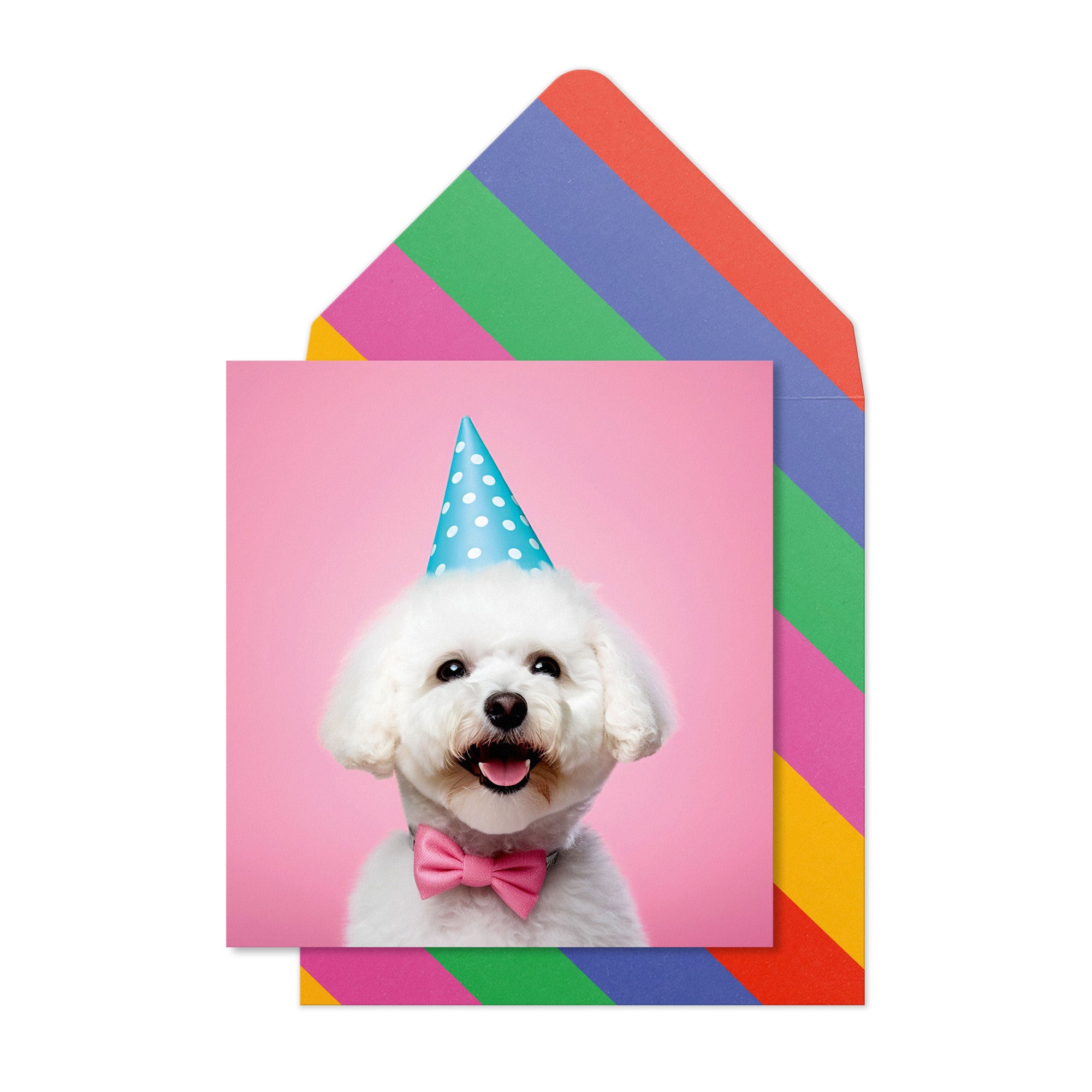 Birthday Bichon Frise