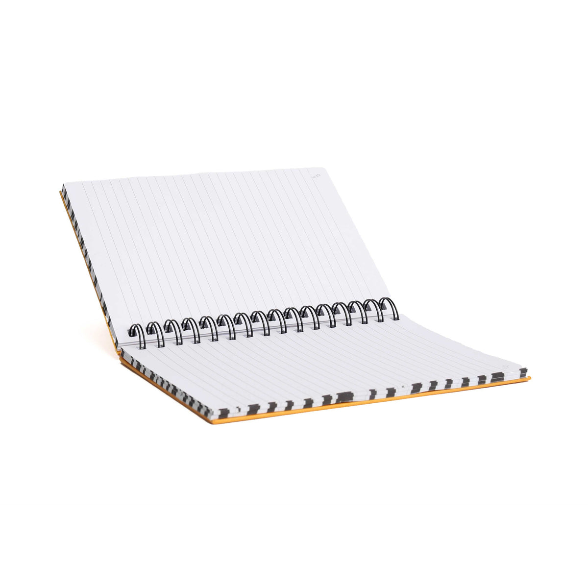 Zebra Cat Notebook