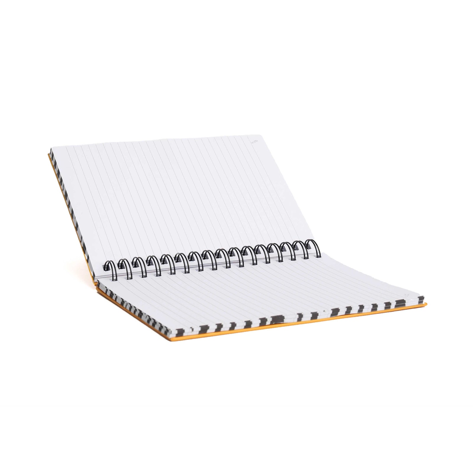 Zebra Cat Notebook