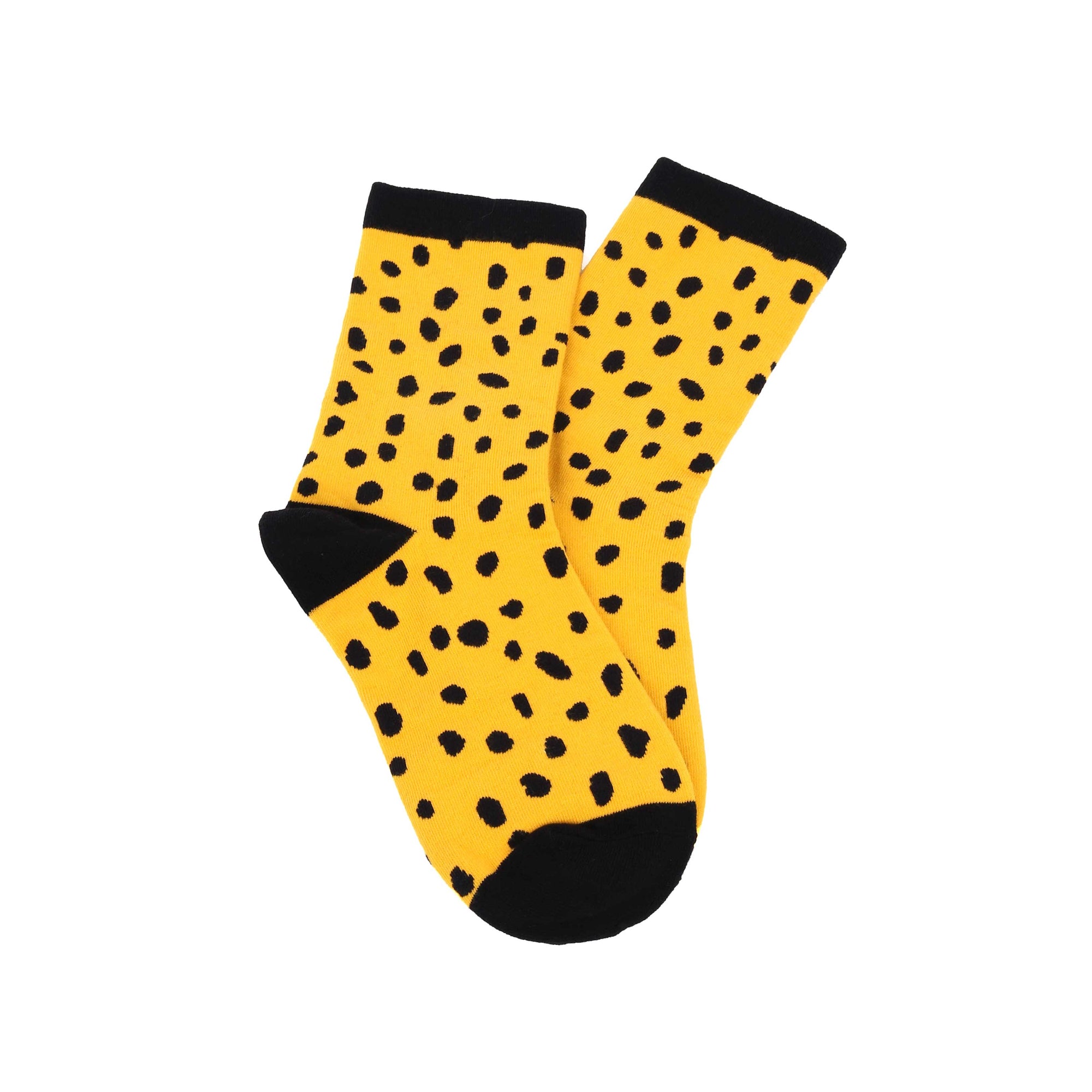 Stylish Socks in a Box, Set of 3