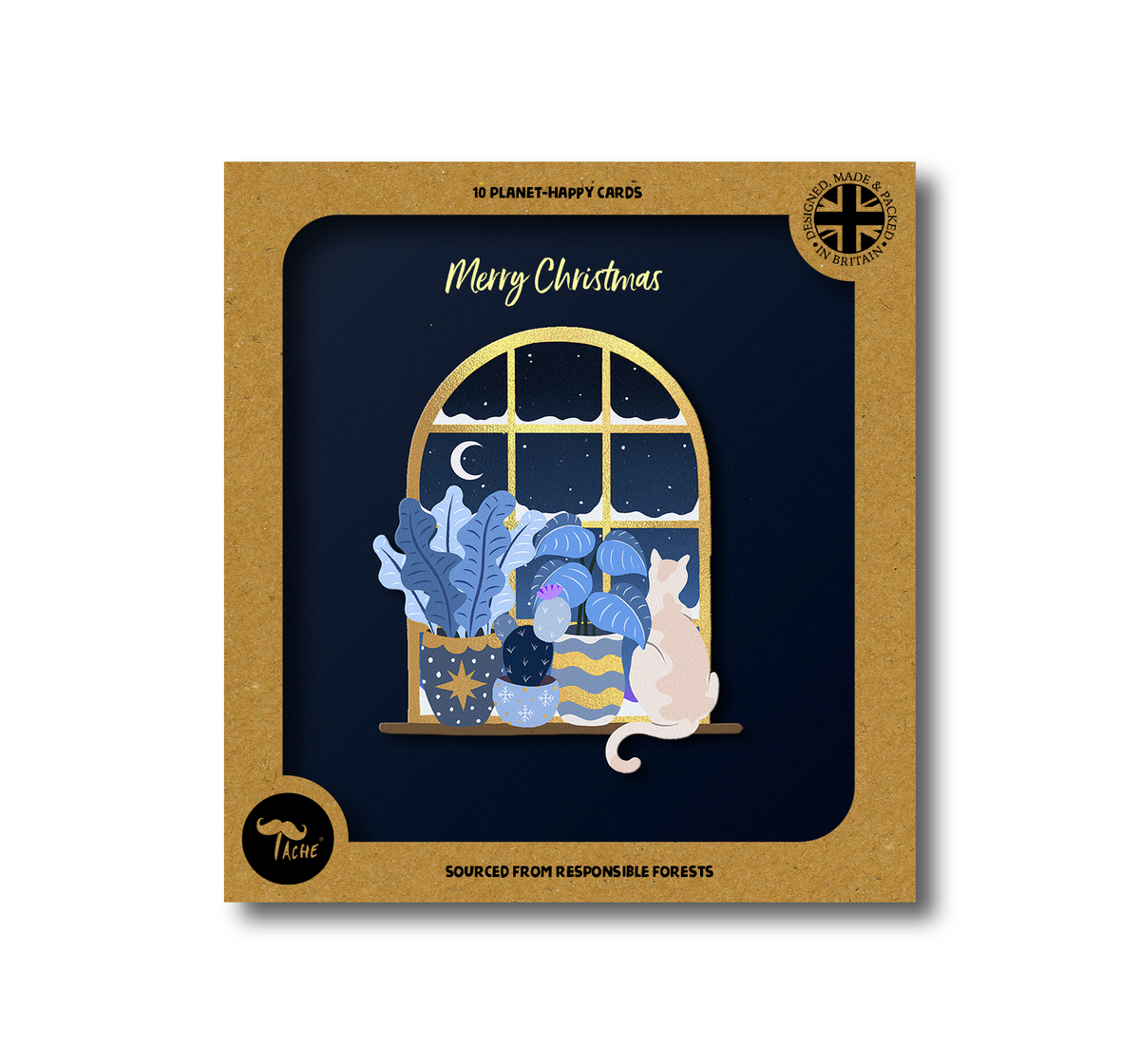 Christmas Window Cat 10pk Box