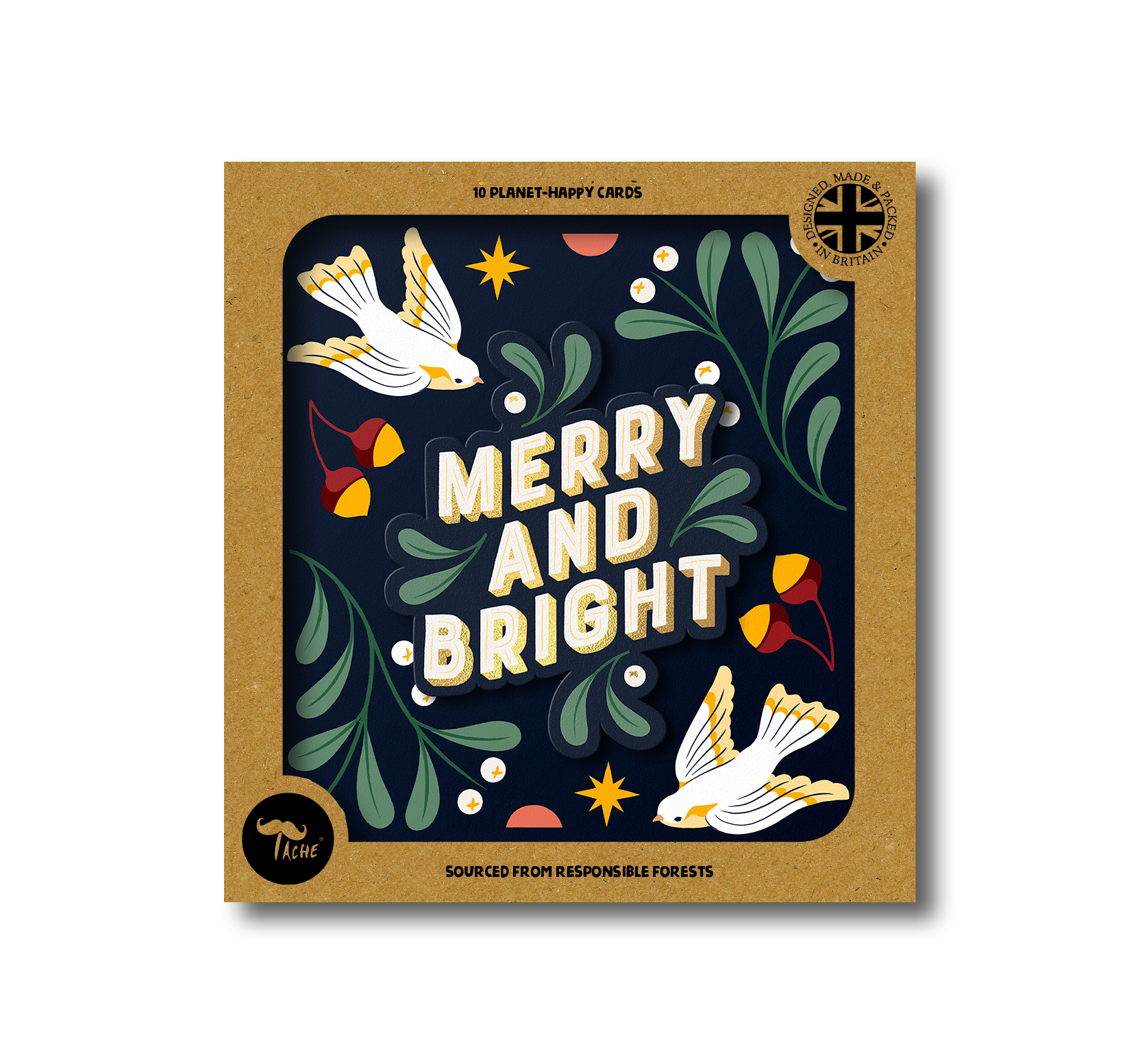 Christmas Merry and Bright 10pk Box
